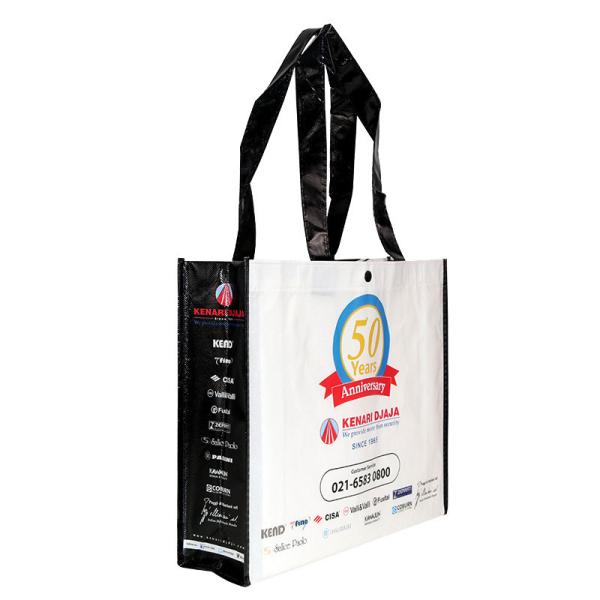 PP Custom Eco Handled Laminated Non Woven Packaging Bags