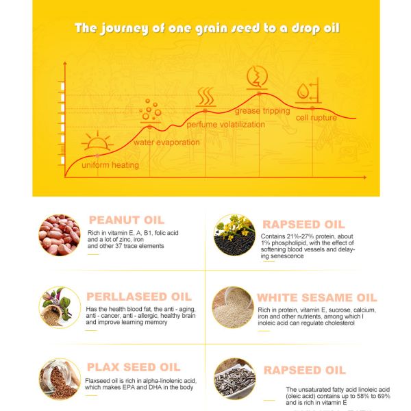 Best selling cold press oil machine and mini oil press machine in China supplier