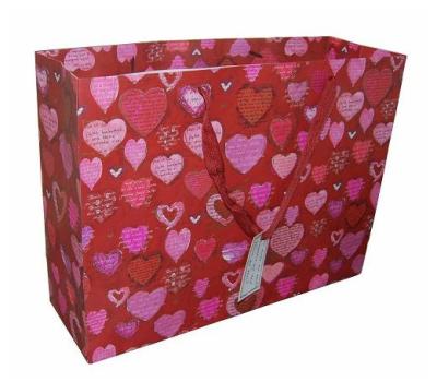 Colored Glossy Paper Gift Bags with Rope Handle