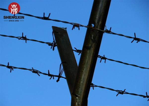 Hot dipped Galvanized Barbed Wire For Security Fence