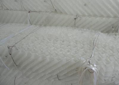 Plastic Wire Gauze Structured Packing Column PP/RPPPVD/PVDF/PTFE PVDF Material