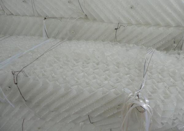 Plastic Wire Gauze Structured Packing Column PP/RPPPVD/PVDF/PTFE PVDF Material