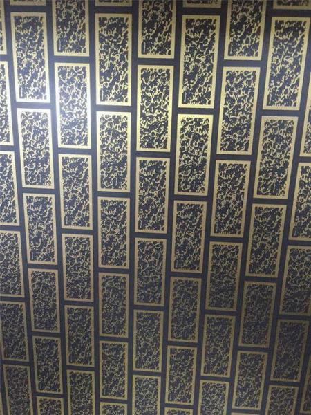 China Manufacturer Double Color Gold 1219*2438mm Stainless Steel Decorative Sheets Wall For Cladding