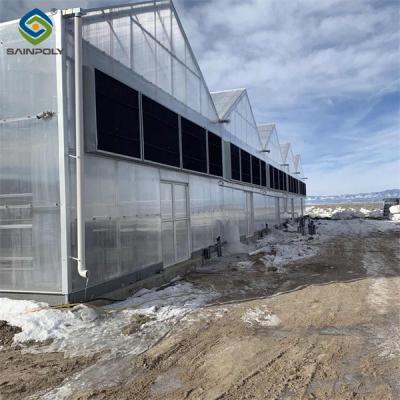 Snow Resistance Polycarbonate Film Greenhouse 100% Darkness Easy To Install