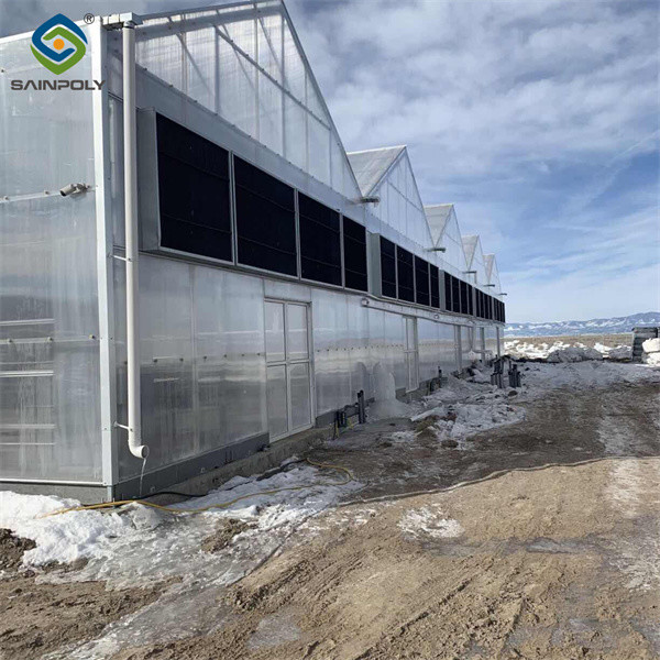 Snow Resistance Polycarbonate Film Greenhouse 100% Darkness Easy To Install