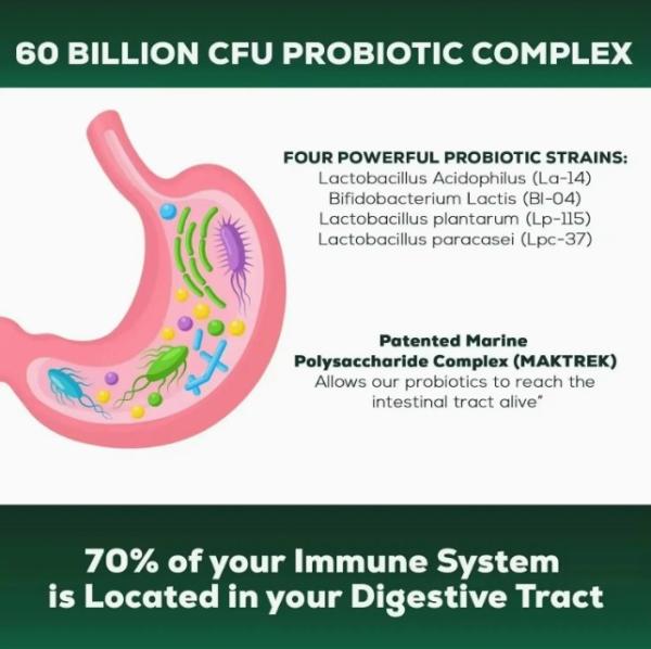 Gut Health Probiotics Capsules Supplements For Women Support Digestive Healthy