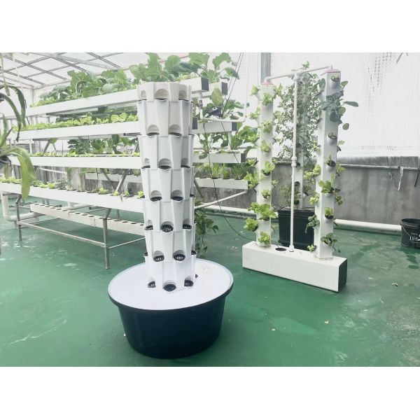 Balcony Aeroponic Growing Towers Hydroponics Vertical Garden Systems Hydroponic Systems indoor Pineapple Planting Type  Vertical