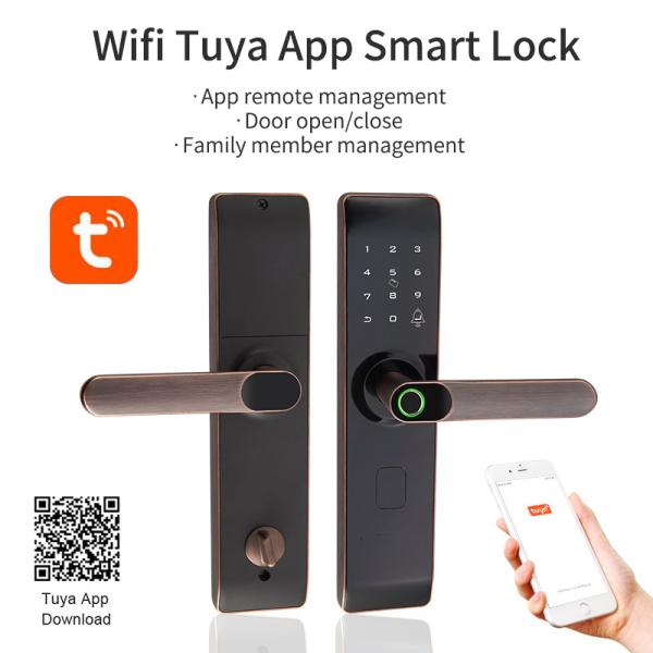 Fingerprint Zinc Alloy TT Door Lock  Indoor WiFi APP Smart For Apartment House