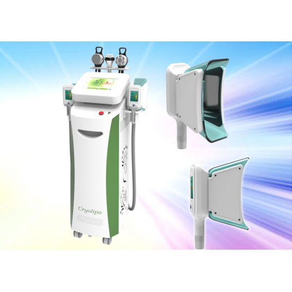 RF skin rejuvenation cryolipolysis slimming machine fat freeze equipment for spa