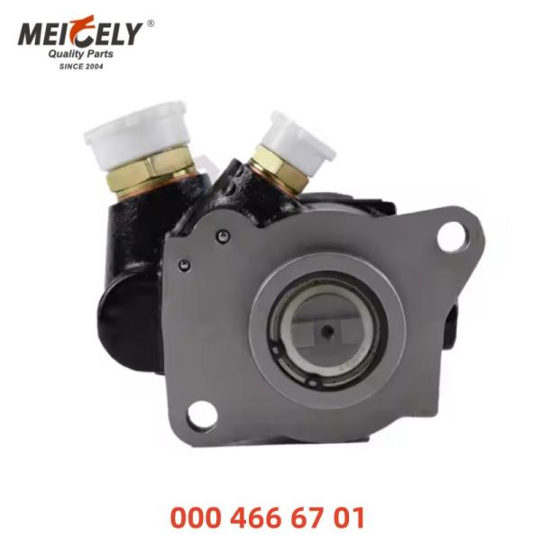 Auto Hydraulic Power Steering Pump 0004666701 For Mercedes-Benz Truck Accessory