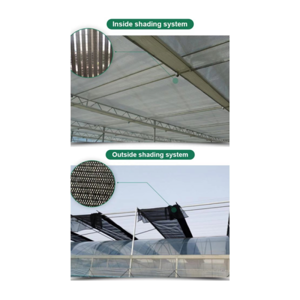 Customized Length Multi-Span Film Greenhouse for and Durability in Large-Scale Farming
