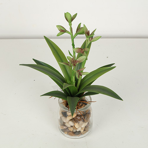 Mini Artificial Agave Bonsai With Glass Pot