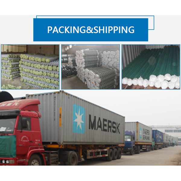 Hot Dipped/Electric Galvanized Welded Wire Mesh Panel Steel Matting 1x1 Inch Galvanized Steel Welded Wire Mesh Panels for Barbecue Manufacturer Direct Wholesale Bending Processing Service