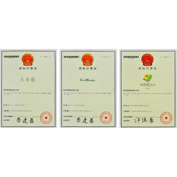 Meubles d'extérieur pour la villa de luxe fauteuils de piscine fauteuils sophistication patio