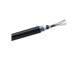24 Count Armored Fiber Optic Cable Anti Mouse Termite Squirrel Bird Peck