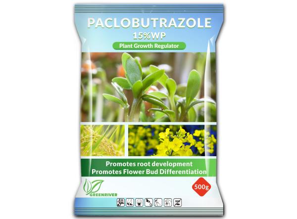 Professional Paclobutrazol Plant Growth Stimulator cas 76738-62-0