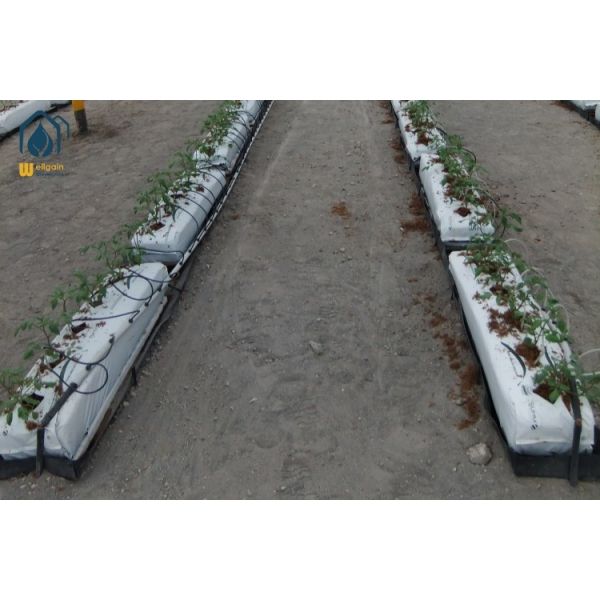 Nutrients Hydroponic Growing Troughs Eco Friendly Tomato Growing Trough Rectangular