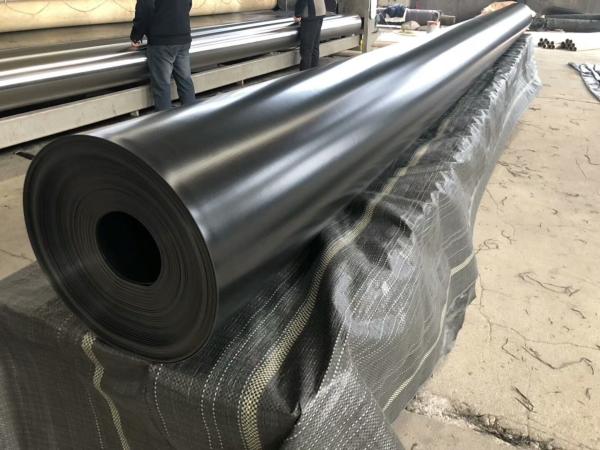 Heavy Duty GRI Polyethylene Geomembrane Plastic Fish Farm Pond Liner Hdpe