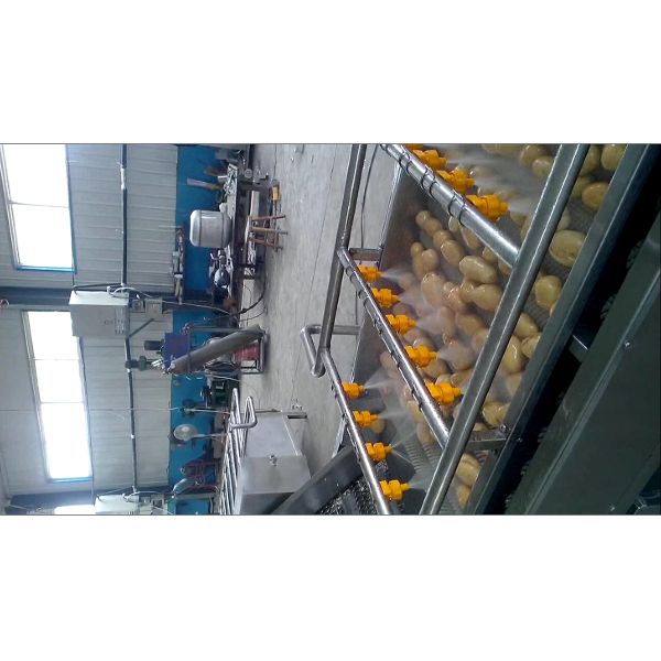 Apples Pears Fruit And Vegetable Processing Machinery Full Automatic Food Grade Stainless Steel