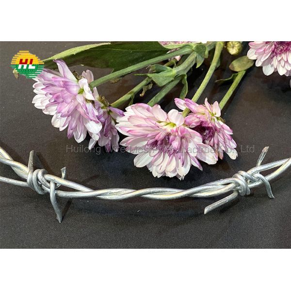 Колючая проволока датчика HUILONG 15, 2 крен пункта 12x12 провода бритвы