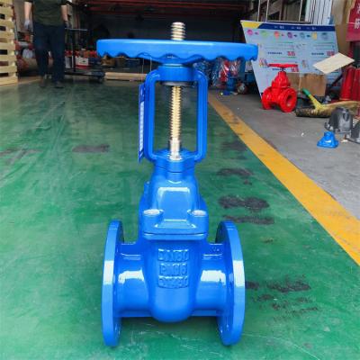 DN50-DN900 Ductile Iron Soft Sealing Rising Stem Groove Gate Valve