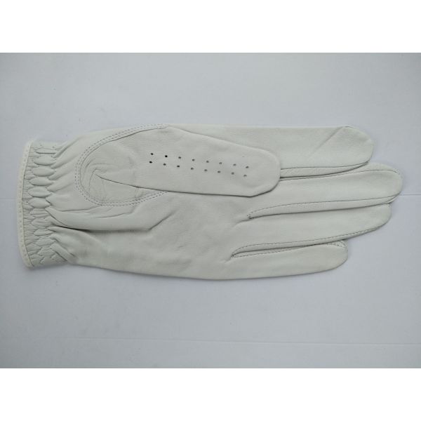 golf glove , golf gloves , glove , gloves