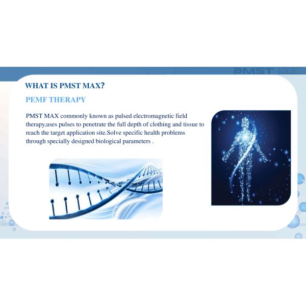 ПЕМФ магнитное лечение здоровья импульсирующая электромагнитная стимуляция терапия ПЕМФ устройство для лошадей