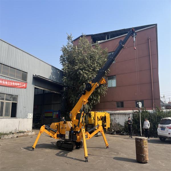 2500kg 3 Ton Spider Crane Customized Personalized Lifting