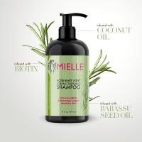 Purificante clarificante champú de menta de romero infundido para el cabello frágil débil OEM