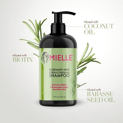 Purify Clarifying Rosemary Mint Shampoo Infused For Weak Brittle Hair OEM