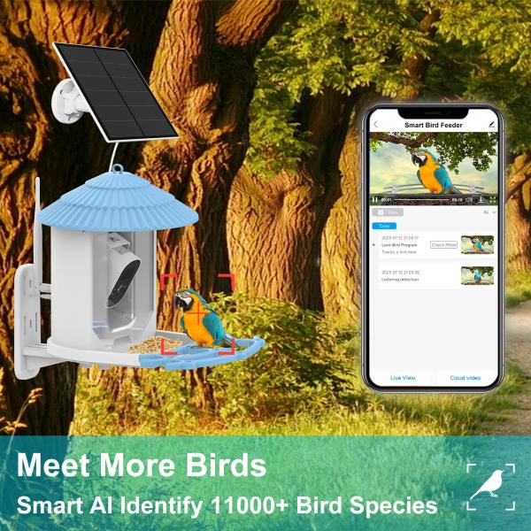 IP66 Waterproof 4MP Smart Bird Feeder 2.5L Wildlife Smart Bird Camera