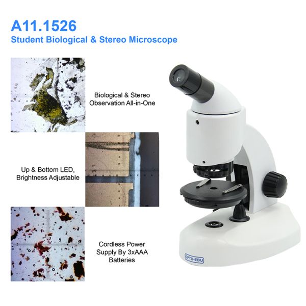 Stereo OPTO EDU 20x-100x Binocular Biological Microscope