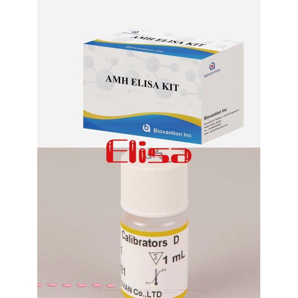 ELISA Detection Reagent Kit High Accuracy AMH Elisa Test Kit Hospital Use