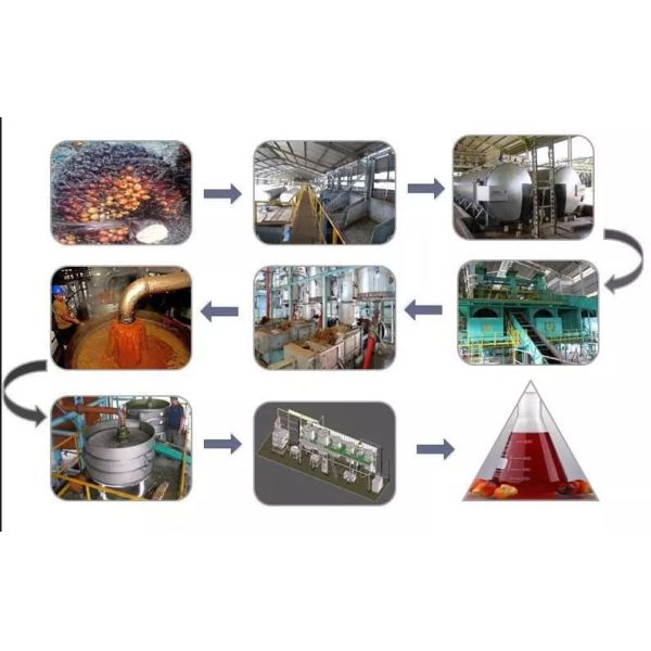 Palm Fruit Red Palm Oil Press Machine for High Productivity Palm Oil Extraction Processing Plant Competitive Cost