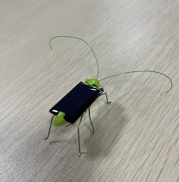 Mini Solar Grasshopper /solar Toy/educational Toy for Kids