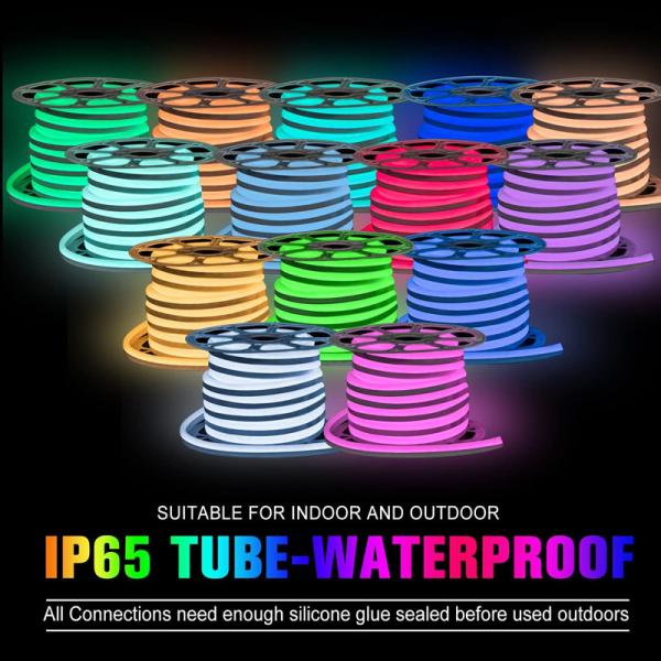 5V Addressable Neon Light Strip With 72 LEDs And 72 WS2811 Integrated Circuits/M