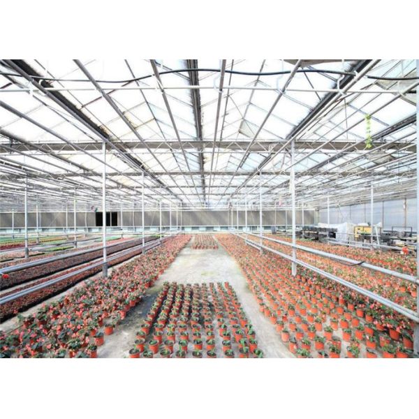 Stable Transmittance Garden Glass Greenhouse 6mm Polycarbonate Twin Wall Covering