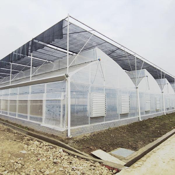 Commercial Industrial Plastic Film Agricultural Multi-span Poly Tunnel Greenhouse