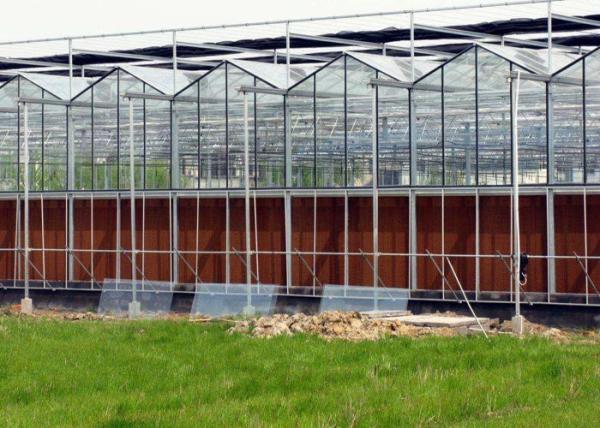 Steel Vegetables Hydroponic Multi Span Glass Greenhouse
