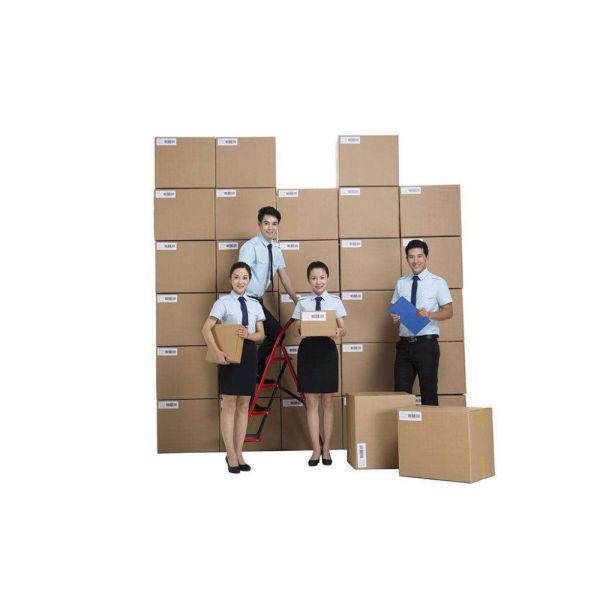 Обслуживание пластиковой упаковки ОПП кладет устранимое в мешки с уплотнением прилипателя собственной личности