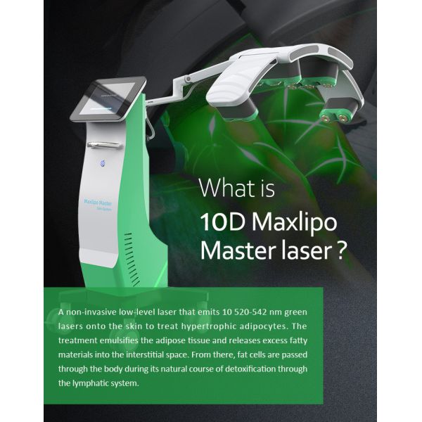 532nm 10D Fat Burning Machine , Handhold Laser Fat Removal Machine