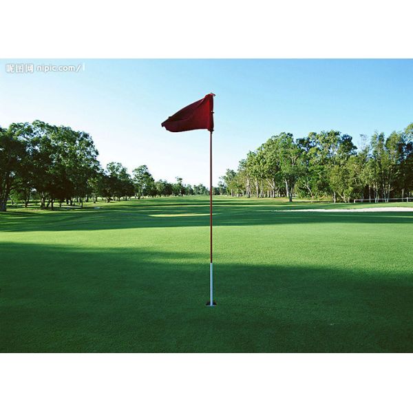 Прочное дерновины травы тенниса/гольфа 13mm сопротивлений искусственной синтетич