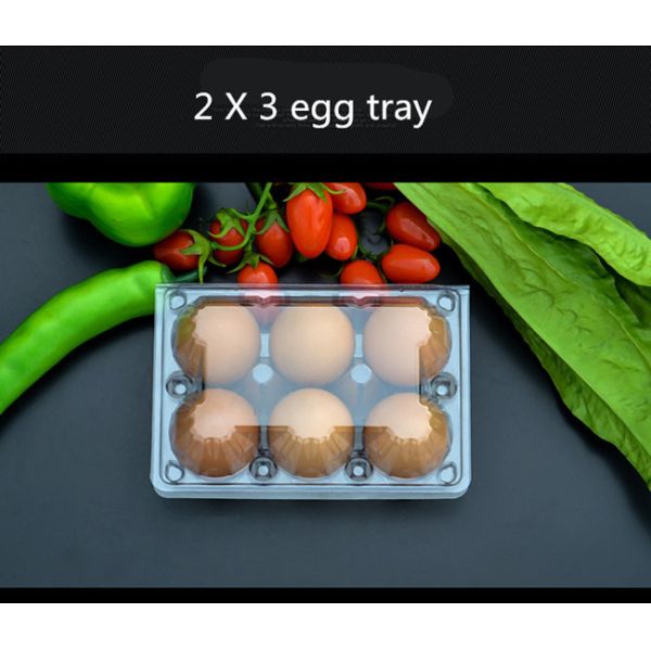 6 Holes Disposable Plastic Egg Container PET Plastic Duck Egg Cartons