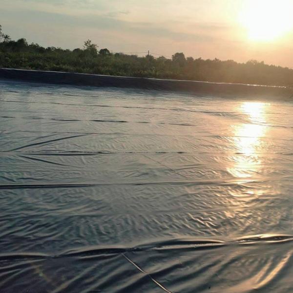 Professional Solution Fish Pond Liner HDPE Waterproofing Membrane for 3D Model Design