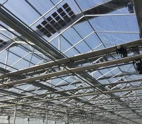 Customization Multi-Span Arch Type Cucumber Lettuce Photovoltaic Greenhouses jx-SG-20