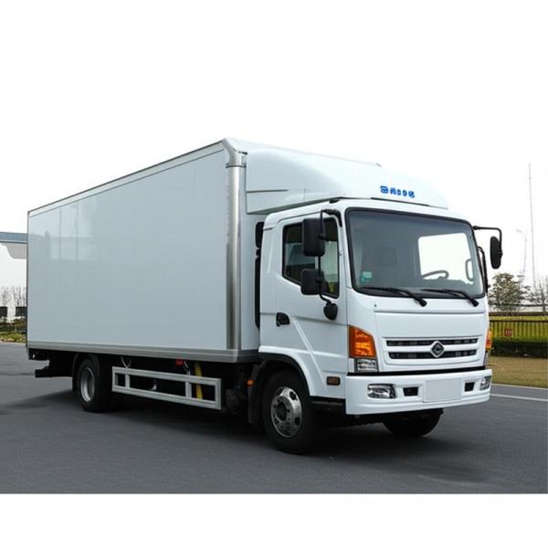 Caisse de camion frigorifique en fibre de verre, légère et personnalisable