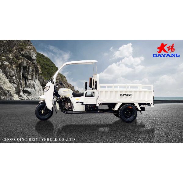 Стандартный размер 3 колеса бензин 200cc/250cc/300cc Мотоцикл двигатель кабины грузовой трехколесный велосипед