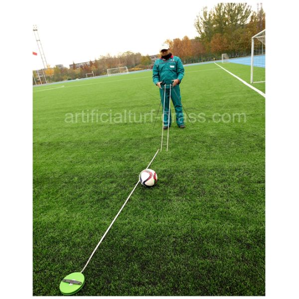 All Victory Grass (Guangzhou) Co., Ltd