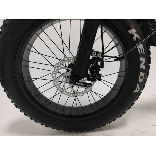 Off-Road Adventures Made Easy with Electric Fat Tire Bike 7 Speed MTB E-Bike and 4.0 Inch Tires