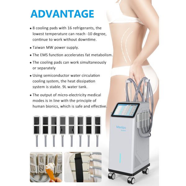 8 Pads Cryolipolysis Machine with EMS Technology for Cellulite Reduction